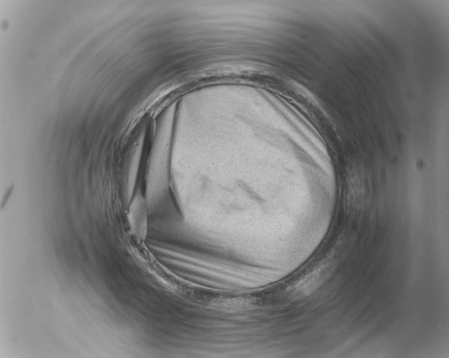 X0000053150778200508012309