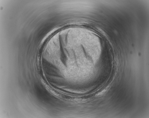 X0000053150779200508012309
