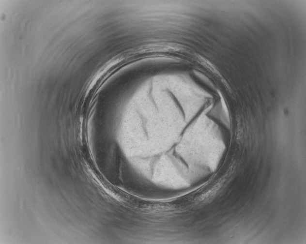 X0000053150786200508012308