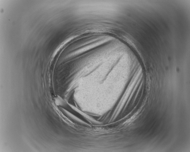 X0000053150787200508012308