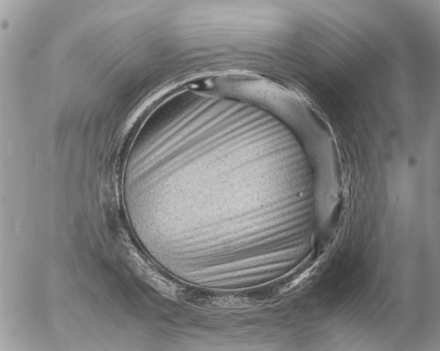 X0000053150789200508012308