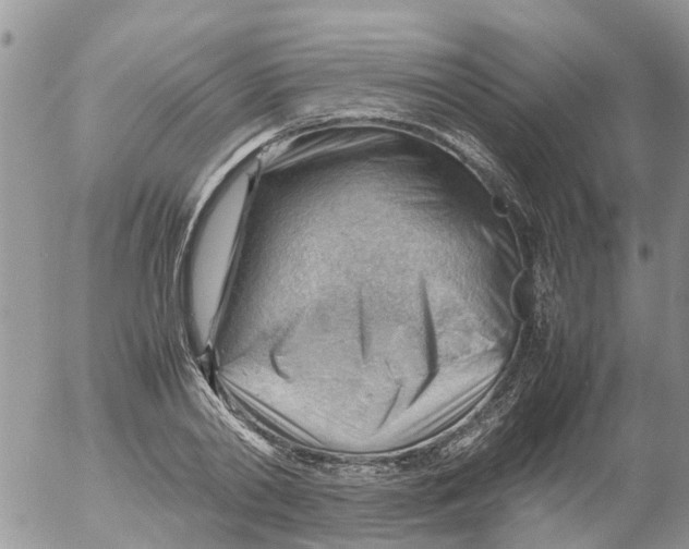 X0000053150790200508012308