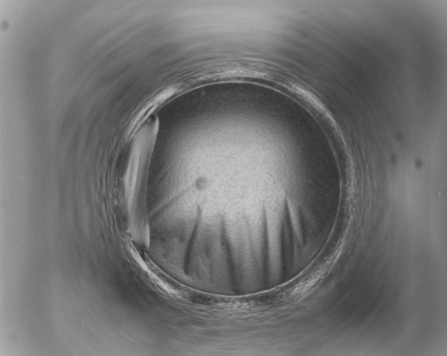 X0000053150793200508012308