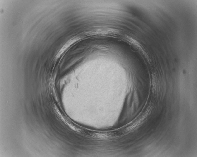 X0000053150794200508012308