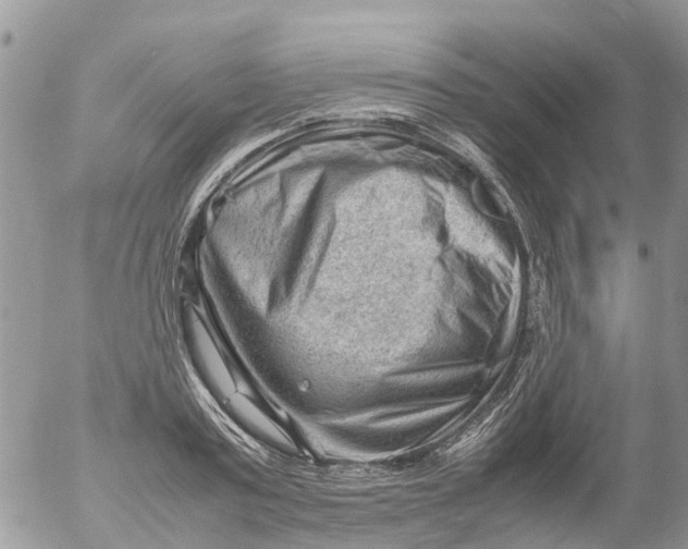 X0000053150795200508012308
