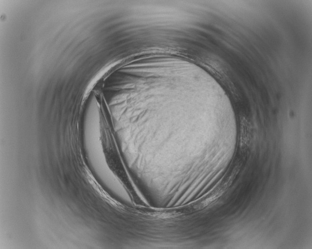 X0000053150796200508012308