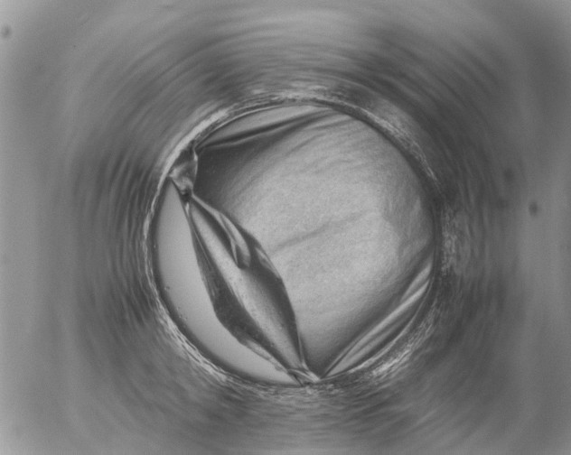 X0000053150798200508012308