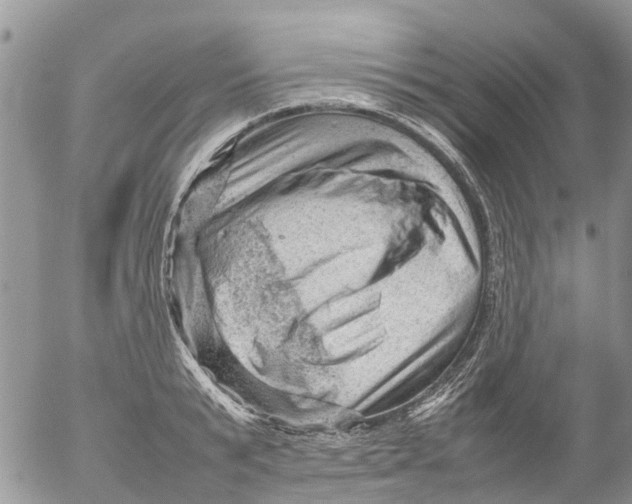 X0000053150799200508012308