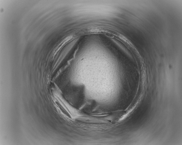 X0000053150801200508012308
