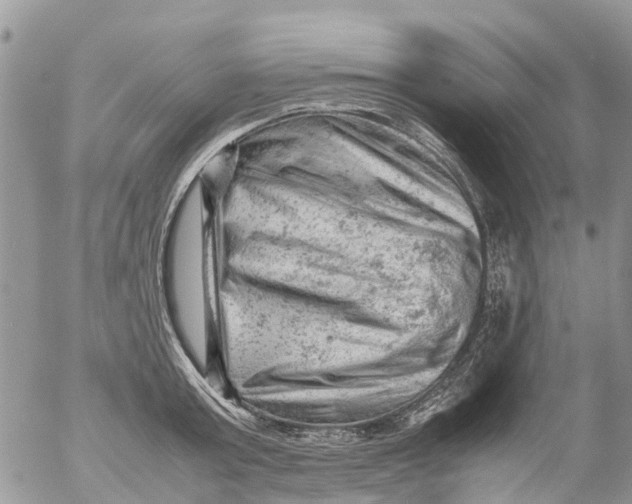 X0000053150803200508012308