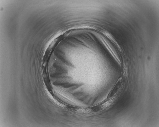X0000053150805200508012308