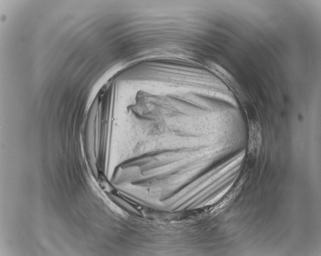 X0000053150812200508012308