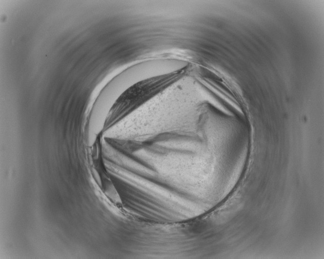 X0000053150816200508012308
