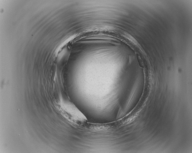 X0000053150826200508012307