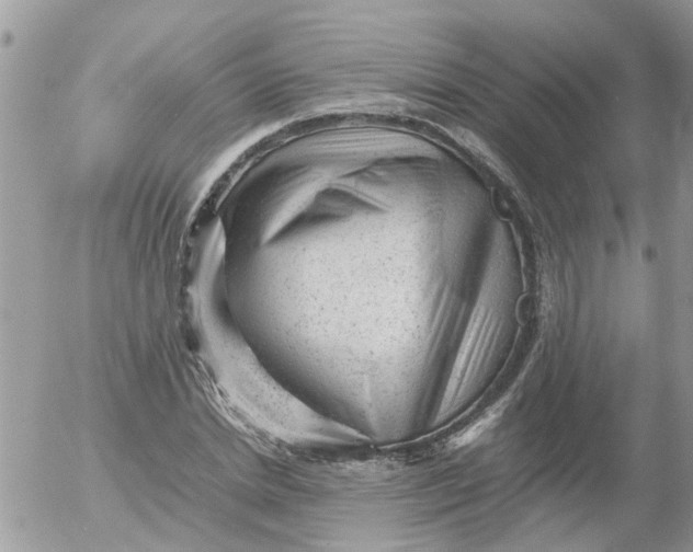 X0000053150830200508012307