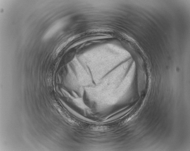 X0000053150833200508012307