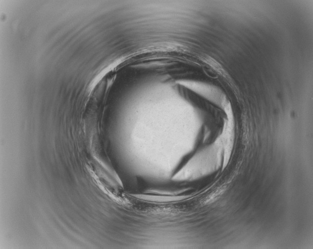 X0000053150834200508012307