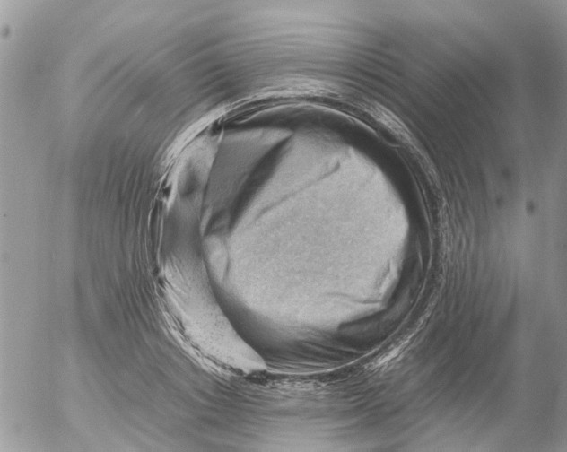 X0000053150842200508012308