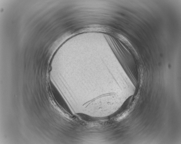 X0000053150852200508012308