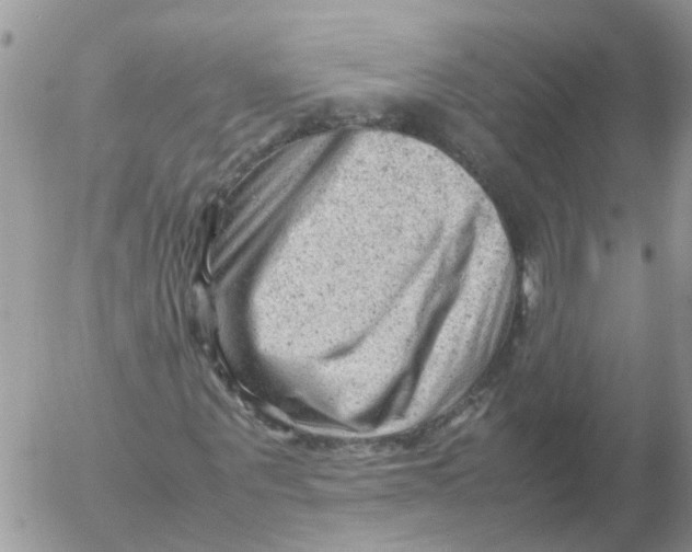 X0000053150867200508012307