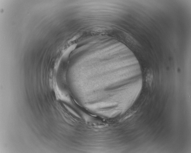 X0000053150868200508012307