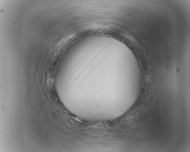 X0000053150869200508012307