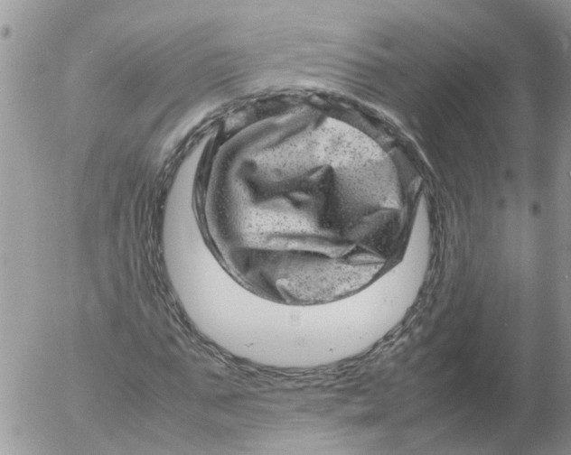 X0000053150871200508012307