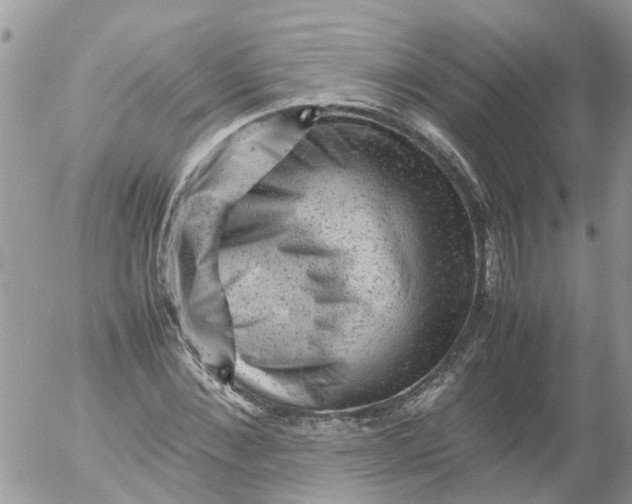 X0000053150876200508012307
