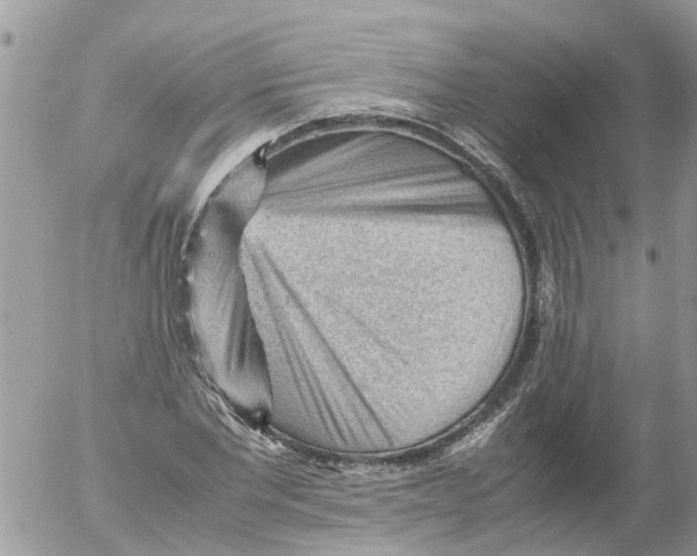 X0000053150877200508012307