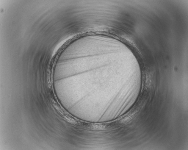 X0000053150878200508012307