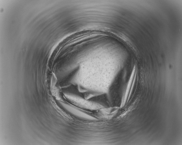 X0000053150880200508012307