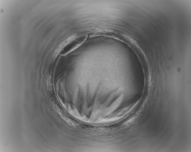 X0000053150881200508012307
