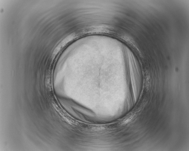 X0000053150882200508012307