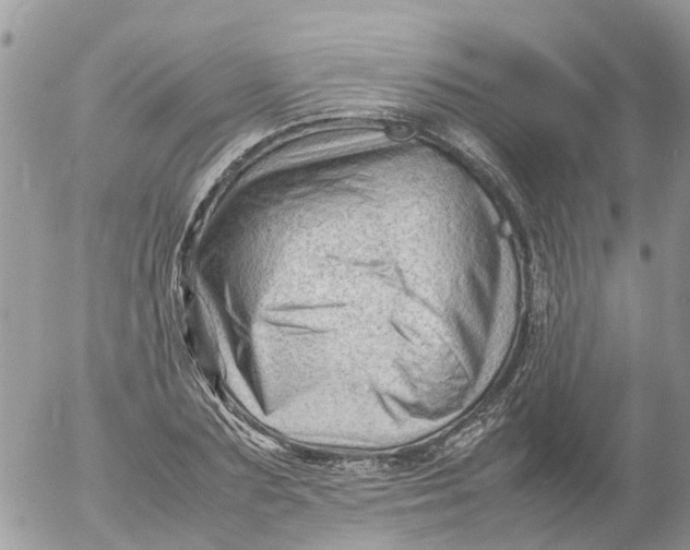 X0000053150883200508012307
