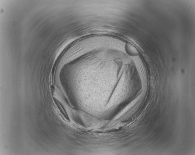 X0000053150891200508012307