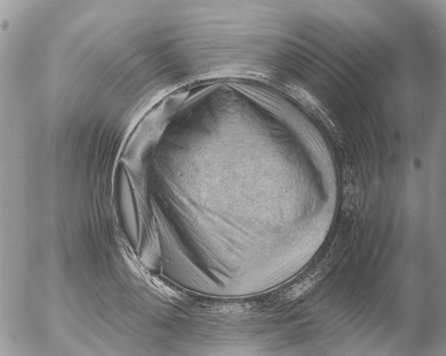 X0000053150892200508012307