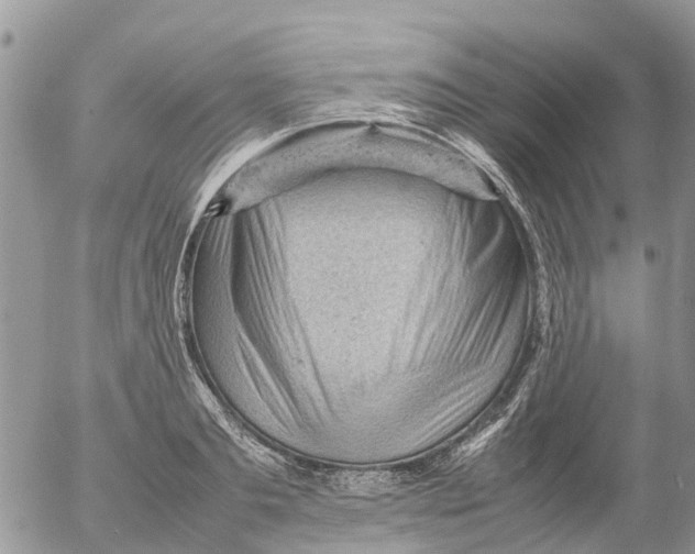 X0000053150893200508012307