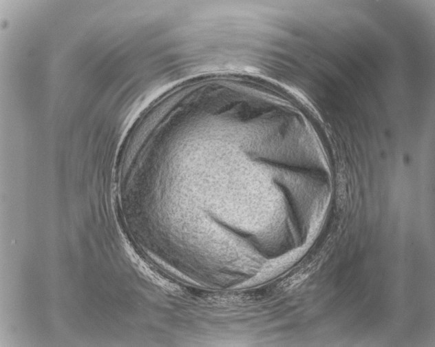 X0000053150895200508012307