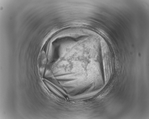 X0000053150899200508012307