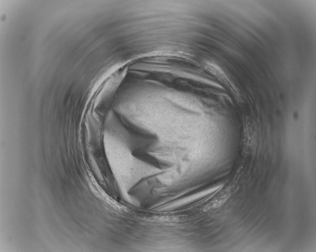 X0000053150900200508012307