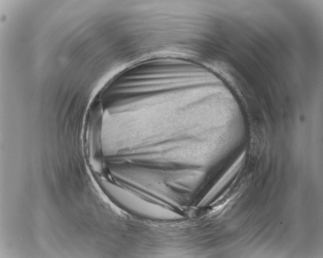 X0000053150902200508012306