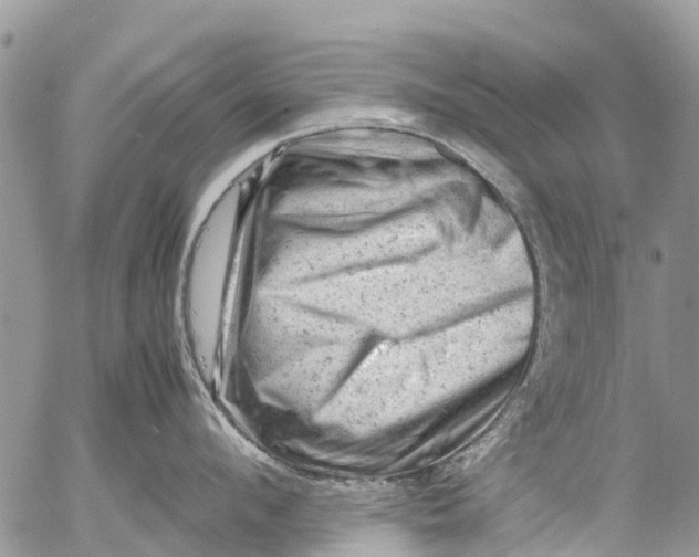 X0000053150912200508012306