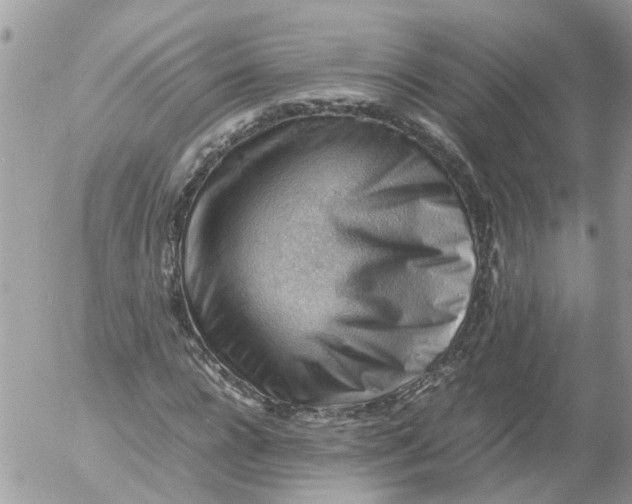X0000053150920200508012306