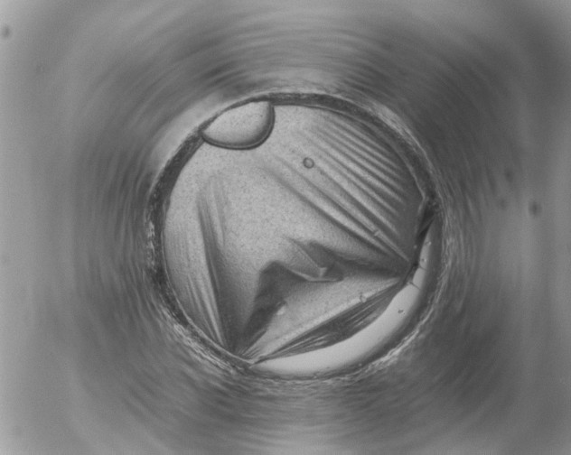X0000053150926200508012306