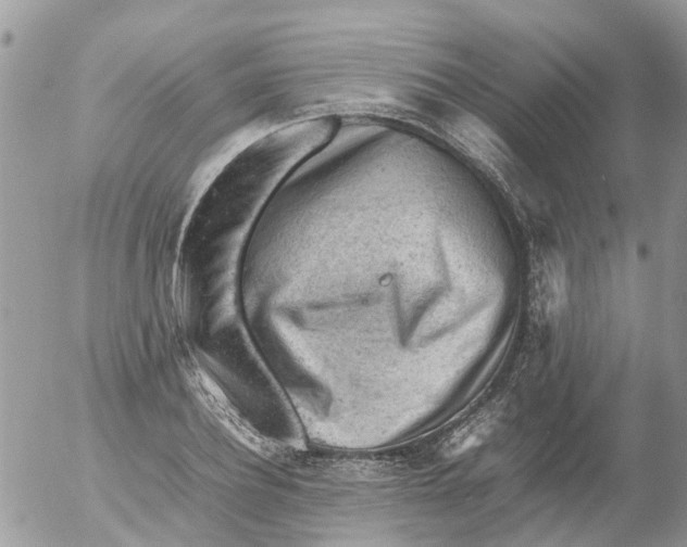 X0000053150932200508012306