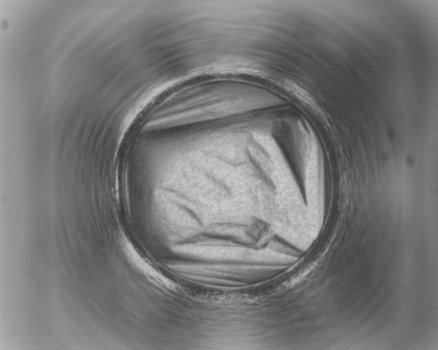 X0000053150934200508012306