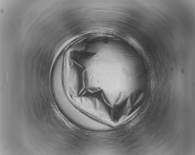 X0000053150940200508012306