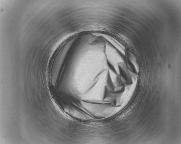 X0000053150942200508012306