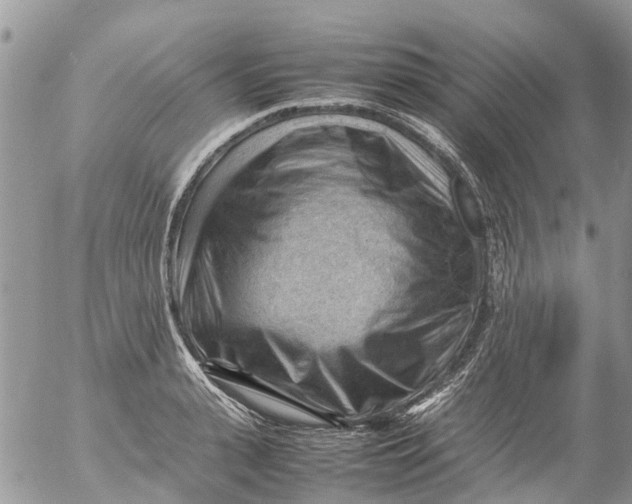 X0000053150943200508012306