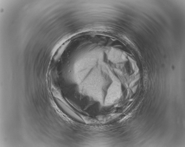 X0000053150944200508012306